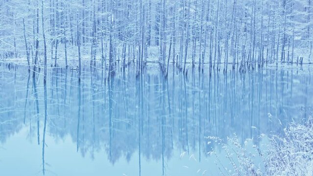 雪の青い池⑦
