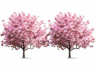 Obraz premium a couple of pink trees