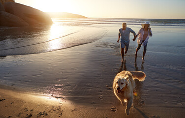 Beach, dog and couple with running at sunset for outdoor adventure, holiday and vacation together....