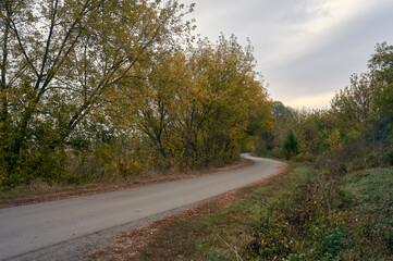 Autumn has arrived, and the leaves on the trees are turning yellow. It's a cloudy day, and a narrow highway winds its way through the countryside, creating a beautiful rural landscape
