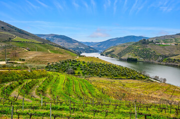 Douro Valley in Portugal