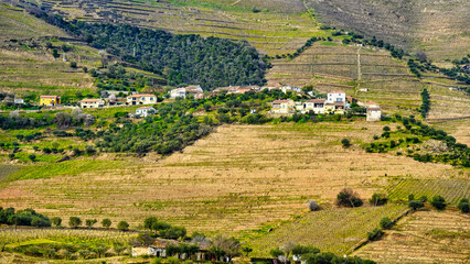 Douro Valley in Portugal