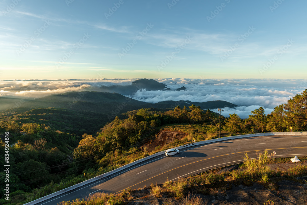 Wall mural top view of misty landscape with road. foggy clouds above tree.