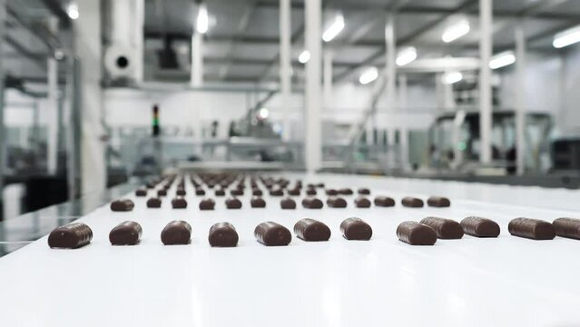 Automated chocolate praline production line in confectionery factory.