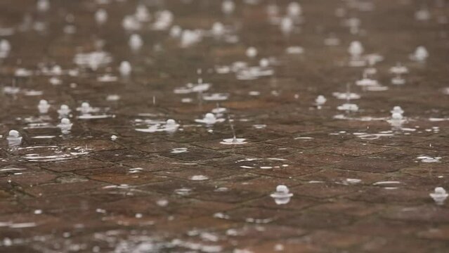 during the flood you can see raindrops on the flooded floor

