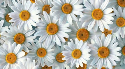Fototapeta premium Daisy seamless pattern background. Fashion print