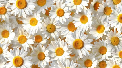 Fototapeta premium Daisy seamless pattern background. Fashion print