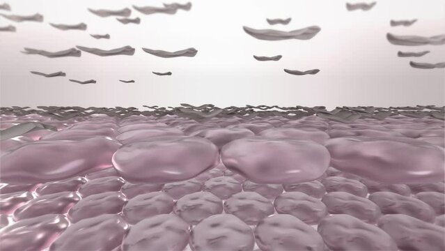 Skin exfoliation process. Dry dead cells peeling away from the body surface. Macro zoom of stylized skin layers. Skin care 3D animation ad for chemical peeling, laser resurfacing, or microdermabrasion