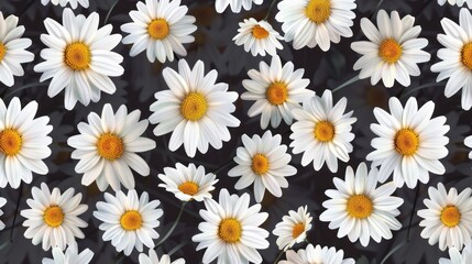 Daisy seamless pattern background. Fashion print