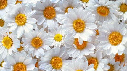 Fototapeta premium Daisy seamless pattern background. Fashion print