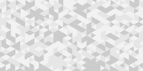 Vector geometric seamless technology gray and white triangle element light background. Abstract digital grid light pattern white Polygon Mosaic triangle Background, business and corporate background.