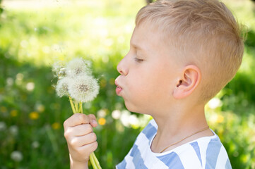 Cute little boy blowing dandelion seeds outdoors on summer day