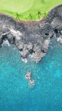 Vertical Screen: Enjoy a captivating aerial video showcasing Hawaiis Big Island with volcanic rocks, palm trees, azure waters, and ocean views. Experience the natural beauty from a unique perspective