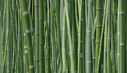 Generative AI creates vibrant and lush bamboo forest texture in 8K resolution using machine learning algorithms, featuring a harmonious blend of green hues and intricate leaf patterns