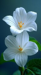 Fototapeta premium Trillium on white background. ai generated 