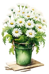 Naklejka premium Daisies watercolor in a flower pot on a white background
