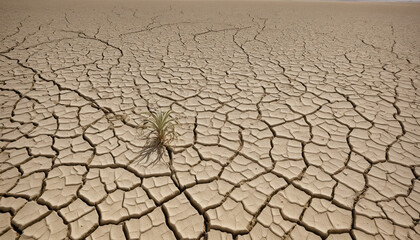 Impact of climate change on agriculture and global warming-induced drought leading to cracked soil and dry vegetation