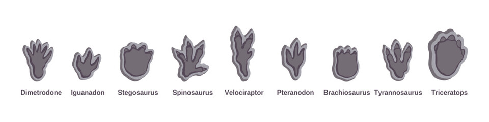 Set Dino foot, big footprint. Vector Illustrations paw. For textile, wallpaper and design. Paw predator.  
