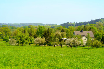 Spring rural landscape with blooming trees and green meadows, Czech Republic