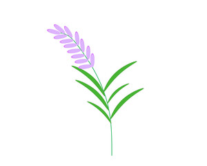 serenity flowers branch on transparent background, 