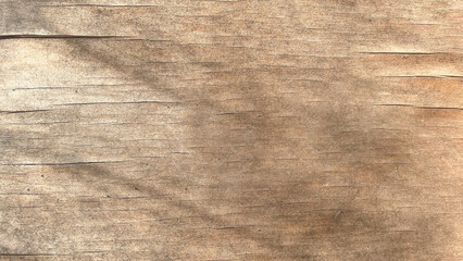 Obraz premium Plywood surface in natural pattern with high resolution