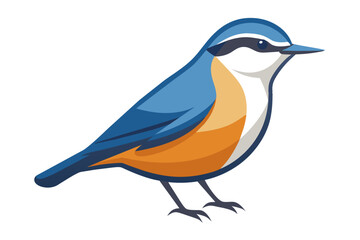 Obraz premium A nuthatch bird vector artwork illustration 