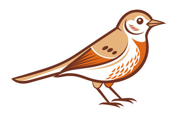 A pipit bird vector artwork illustration 