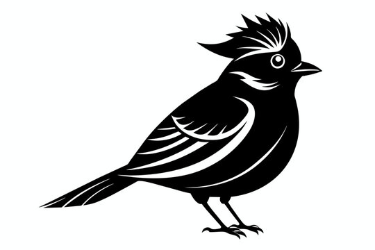 A kinglet bird silhouette black vector artwork illustration 