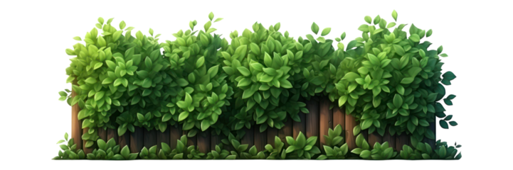PNG Hedge plant green fence