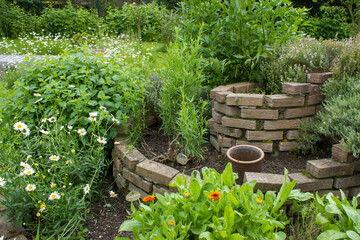 herb spiral in the garden with fresh herbs