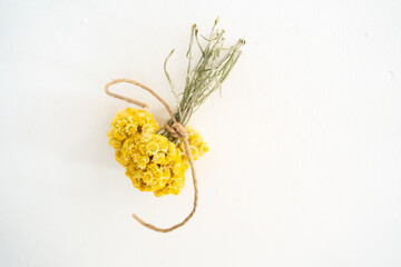 bunch of Helichrysum tied with a natural rope and hung upside down on the wall to dry, copyspace