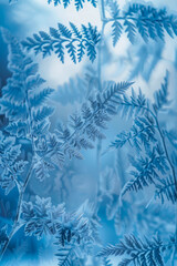 A close up of a blue leaf with frost on it