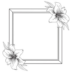 Obraz premium tattoo and t-shirt design black and white hand drawn rectangle flower frame engraving ornament