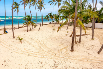 Dominican tropical beach in Punta Cana. Drone photo palm trees, resort complexes. Tourism, travel.