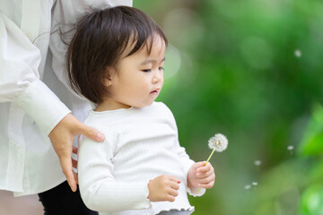 子供・女の子・たんぽぽ