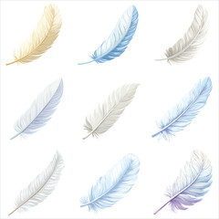 Bird feather, Set icon, flat illustration, cartoon, isolated on a white background