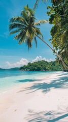 Panoramic Tropical Beach with Palm Trees and Blue Sea