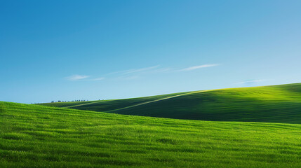 Obraz premium Classic Bliss-inspired Background - Clean and simple landscape with field