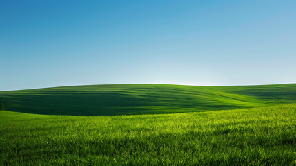Obraz premium Classic Bliss-inspired Background - Clean and simple landscape with field