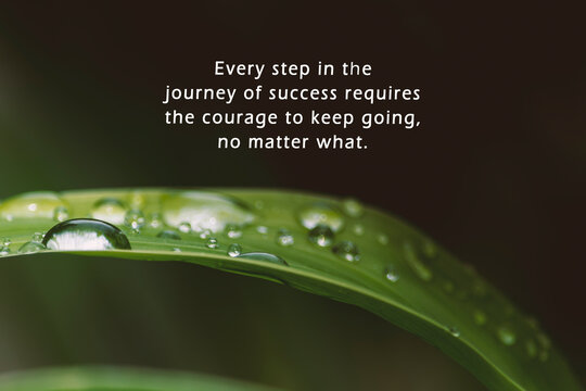 Motivational quote with raindrops on fresh green leaves on a dark background.