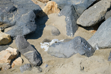 At the beach, sand and rocks form a natural cluster