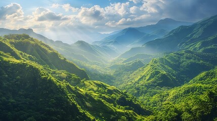 Fototapeta premium scenic mountain valley landscape with lush green vegetation nature photography