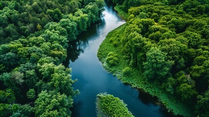 Fototapeta premium serene aerial view of rocky river meandering through lush green forest reflecting vibrant sky nature photography