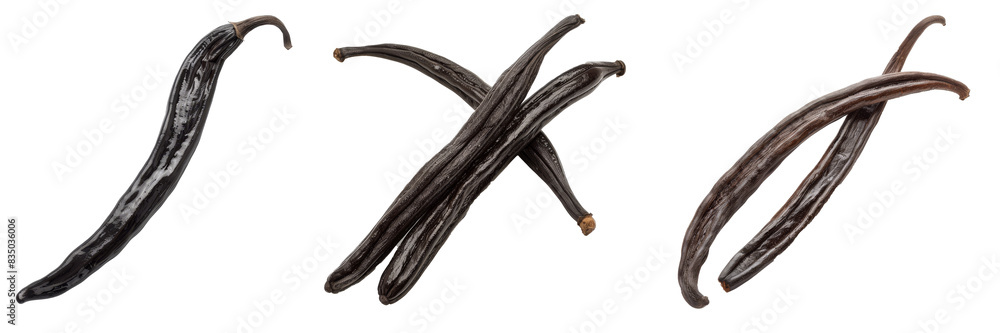Poster An isolated vanilla bean on a white background with a clipping path and full depth of field