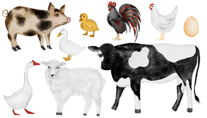 Set of farm animals. Cute watercolor illustration of pets. Hand drawn cow and goose, sheep and chicken, rooster and duck, pig and sheep. Isolated illustrations of livestock on an isolated white