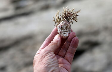 A person's hand holds objects close-up.