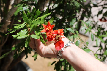 A person's hand holds objects close-up.