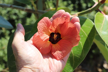 A person's hand holds objects close-up.