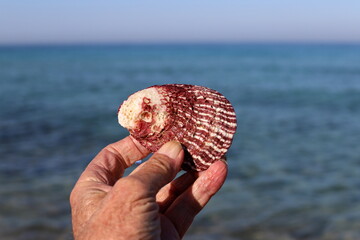 A person's hand holds objects close-up.