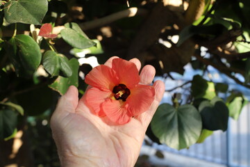 A person's hand holds objects close-up.